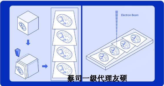 阜阳蔡司阜阳扫描电镜